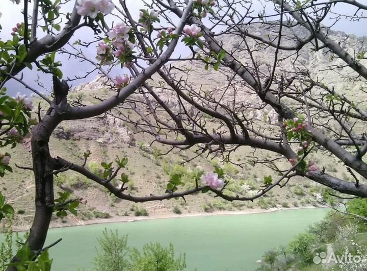 Авторские экспедиции по России от 5-ти до 12-ти дн