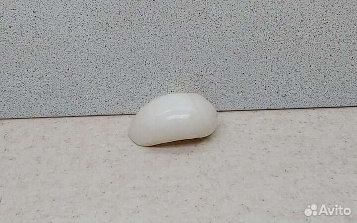 Белая лунная 4,4 морская ракушка раковина