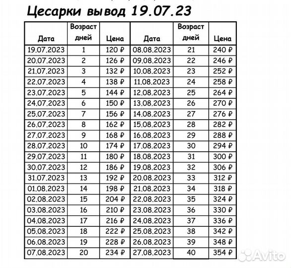 Цесарки, дичь