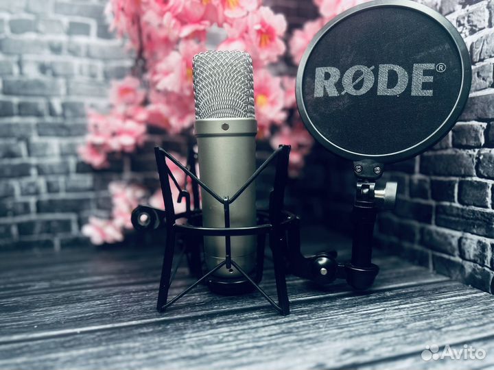 Rode nt1 a