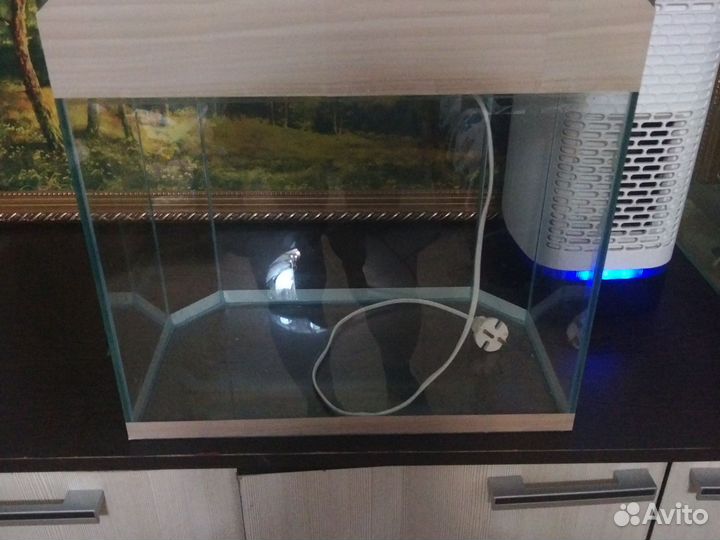 Аквариум