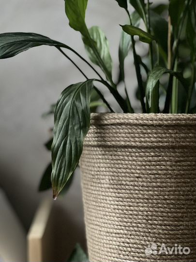 Горшок для цветов