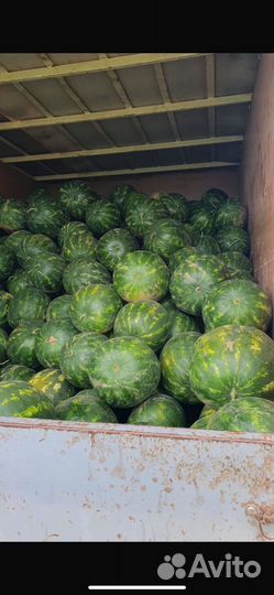 Продажа арбузов