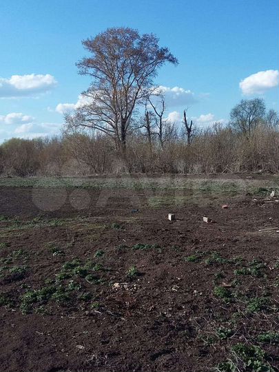 Участок 15 сот. (ИЖС)