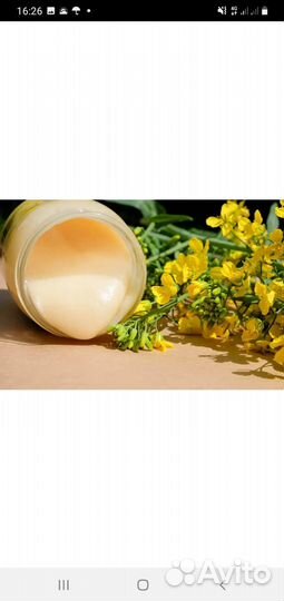 Рапсовый мед