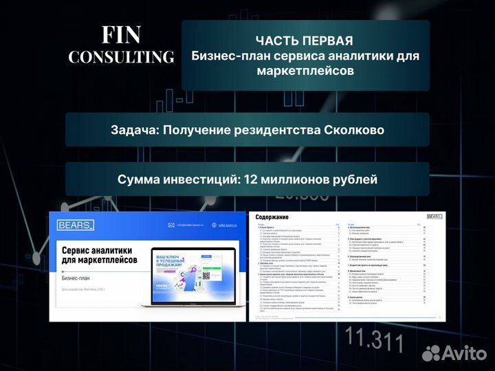 Бизнес план / Бизнес план для соцконтракта