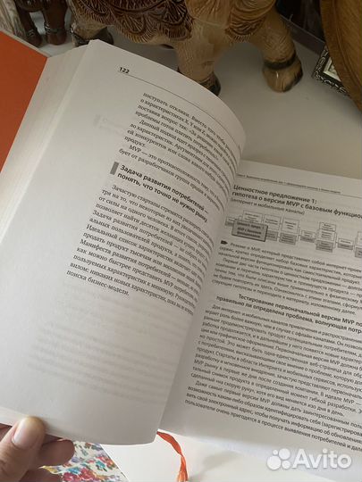 Книга Стартап Стив Бланк