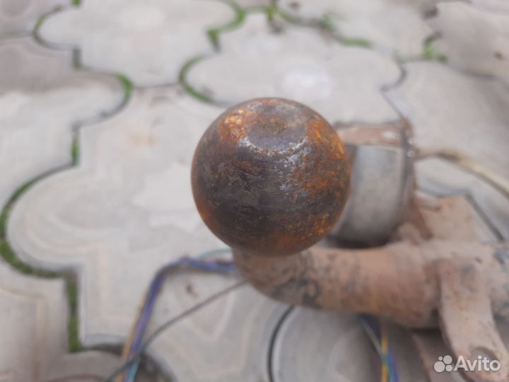 Фаркоп калина