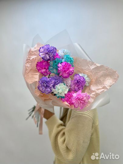 Диантусы крашенные