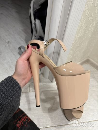 Стрипы тройки 37 Echo of Hollywood