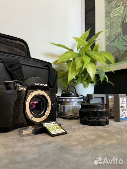 Большой комплект Olympus OM-D E-M10 Mark III