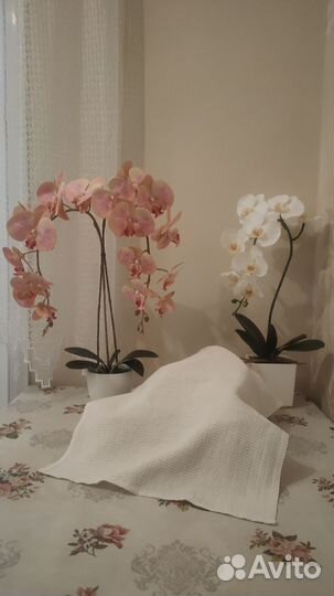 Цветы для красоты (ботаническая копия)