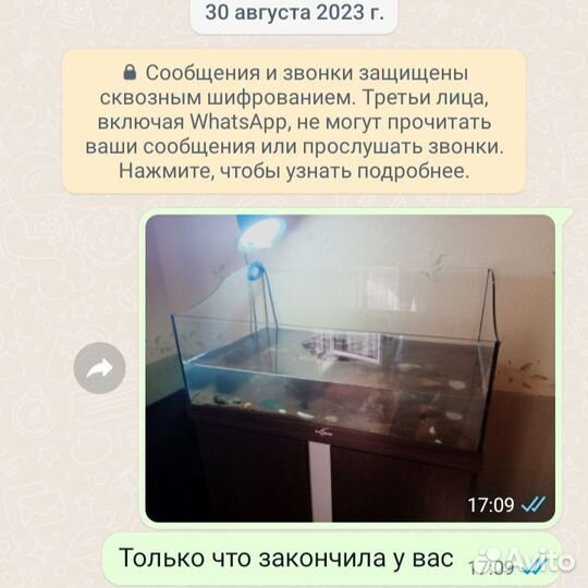 Обслуживание аквариума террариума