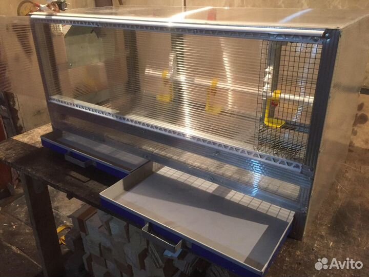 Брудер для циплят