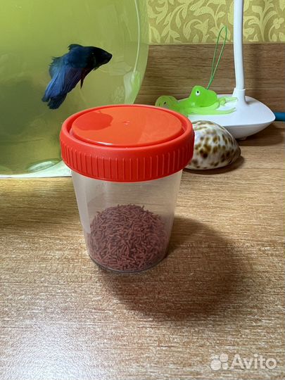 Корм для петушка