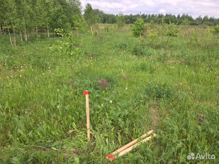 Вынос границ земельного участка