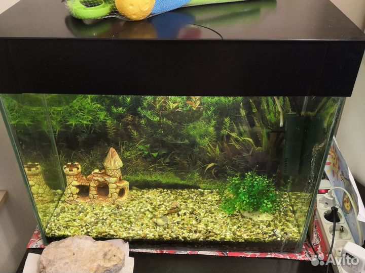 Аквариум 50 литров