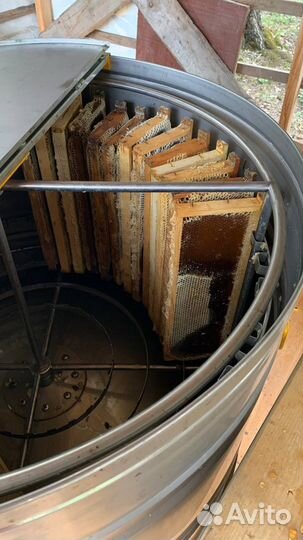 Алтайский мёд урожай 2023