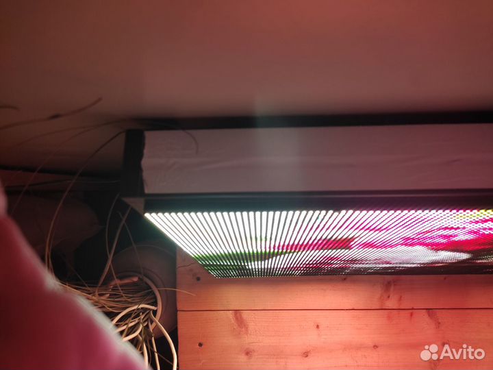 Реклама цветов, экран Дар33333