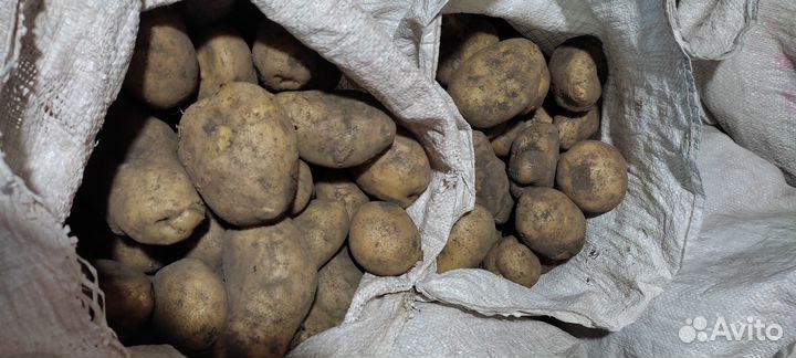 Продукты питания