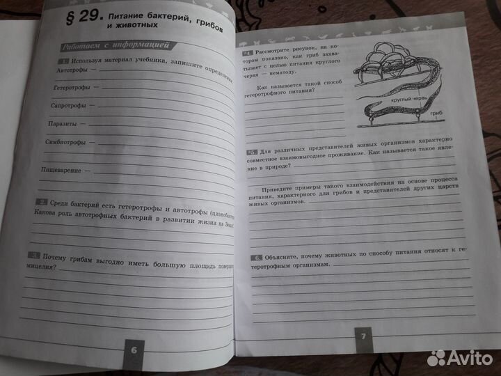 Рабочая тетрадь по биологии 6 класс