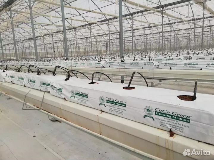 Кокосовый субстрат CoCo Green 150x120x1000 (18л.)