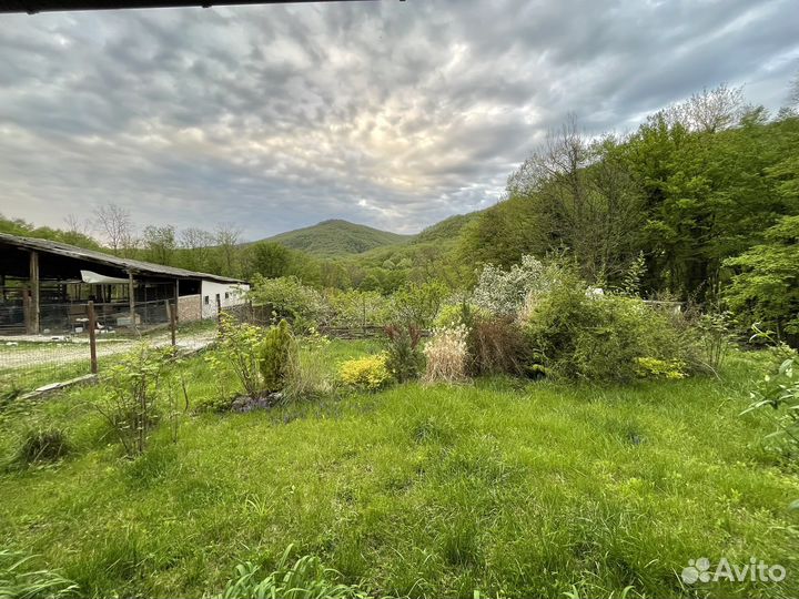 Отдых в горах