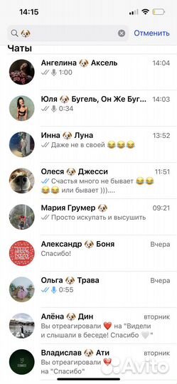 Передержка животных