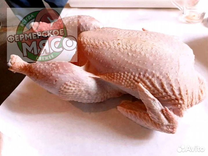 Мясо курицы