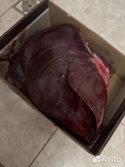 Печень конина