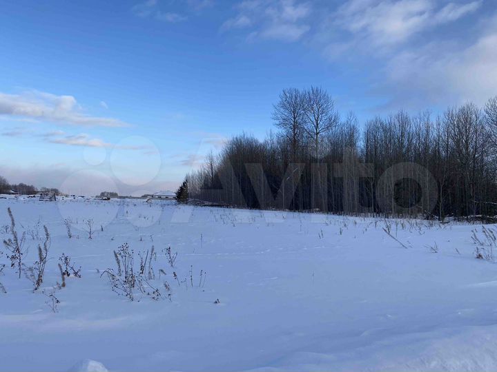 Участок 7,5 сот. (СНТ, ДНП)