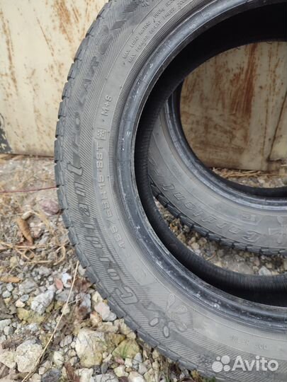 Cordiant Polar 2 185/65 R15 88T