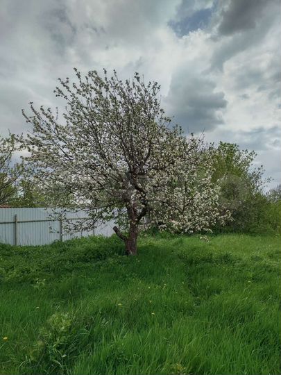 Дом 54 м² на участке 18 сот.