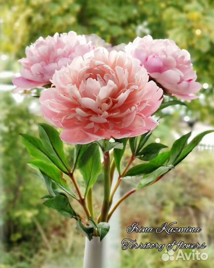 Пион. Полимерная глина. Ручная работа