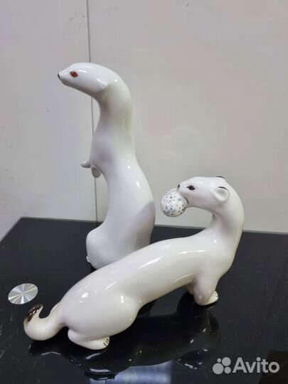 Ласка горностай лфз, ифз