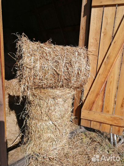 Сено, солома в тюках
