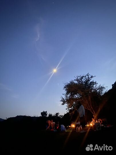 Организатор мероприятий