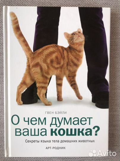 О чём думает ваша кошка