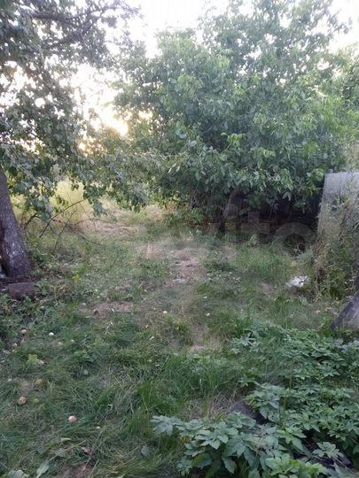 Участок 50 сот. (СНТ, ДНП)