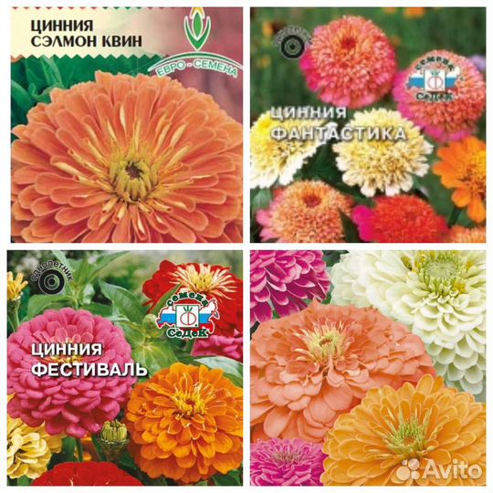 Семена Цинии бесплатная доставка по Крыму