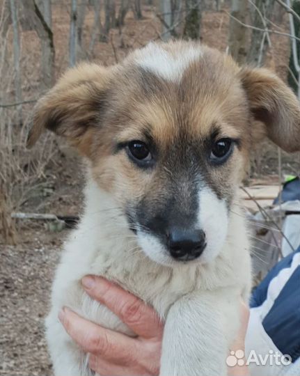 Некуда идти 2