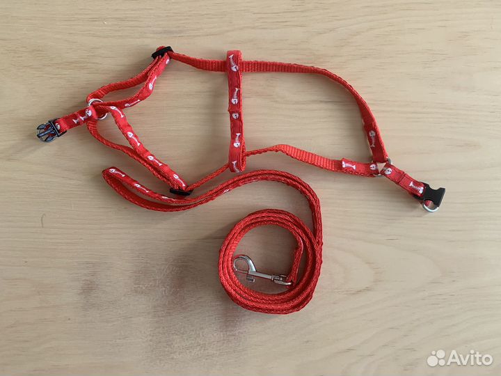 Шлейка для кошки
