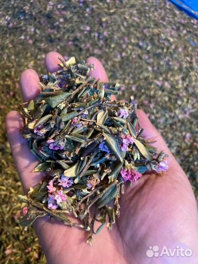 Саган-Дайля, Саган-Дали с цветами и без цветов