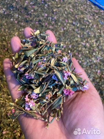 Саган-Дайля, Саган-Дали с цветами и без цветов