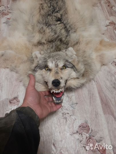 Охота и рыбалка