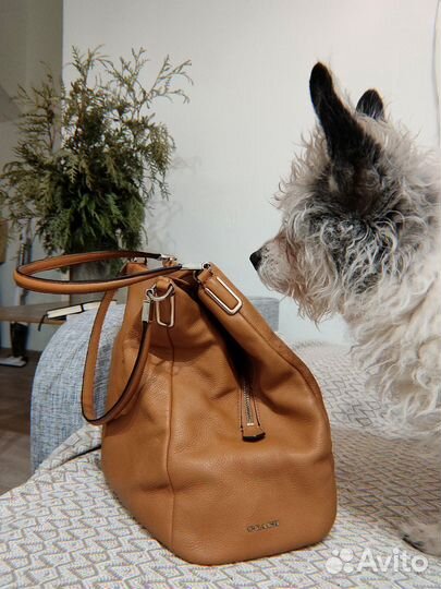 Сумка Coach Madison Phoebe