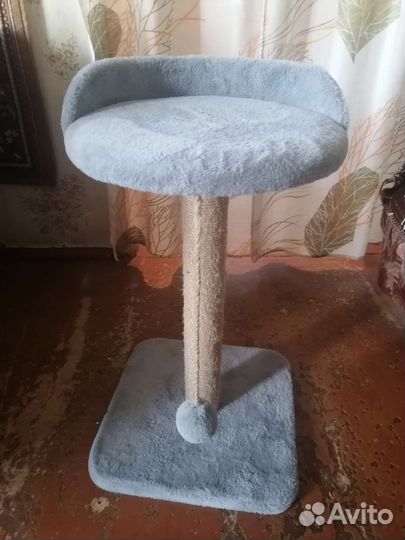 Когтеточка