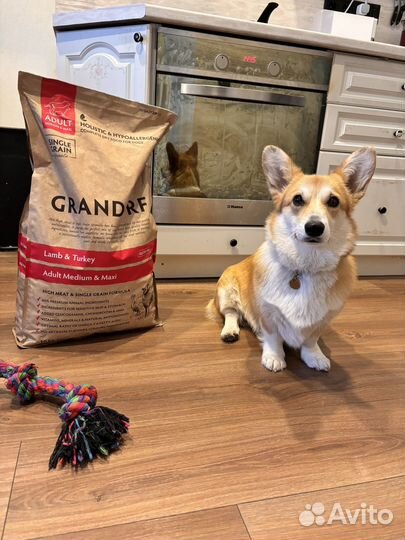 Корм для собак grandorf 10кг ягненок индейка