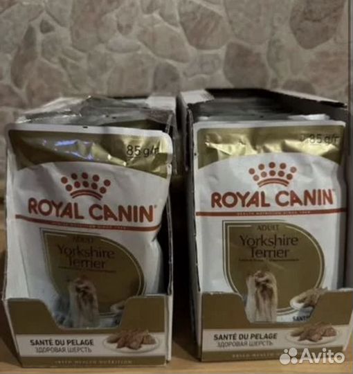 Мокрый корм для собак royal canin