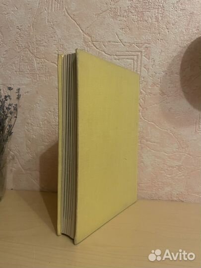 Ф. Пажоут Я. Валничек Р. Шубик: Кактусы 1963